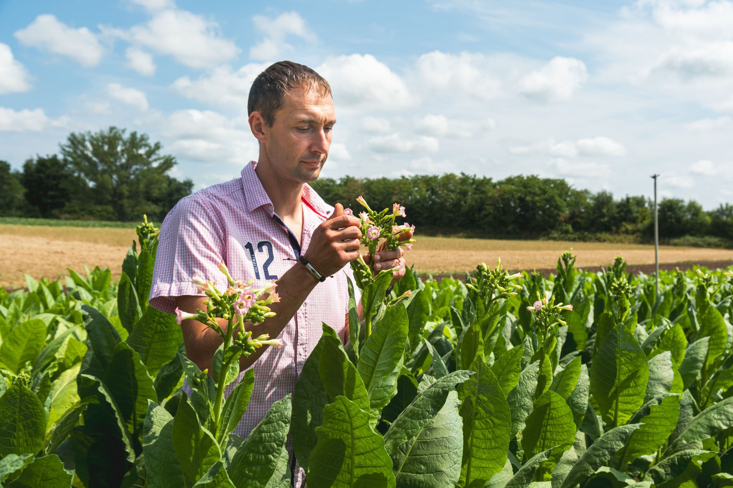 Nicolas François, Technicien en production de semences et agronomie