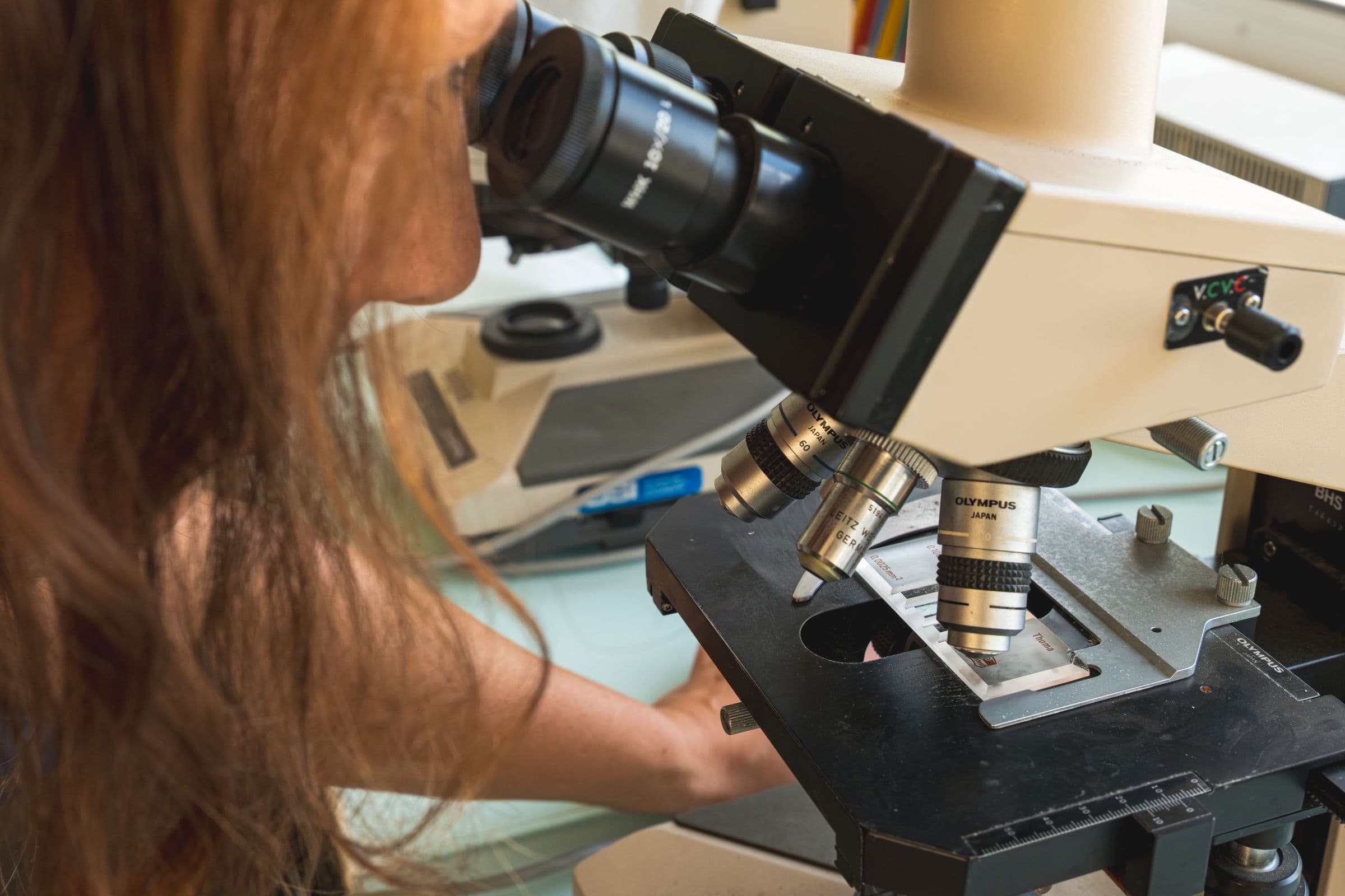 Observation au microscope en laboratoire de pathologie
